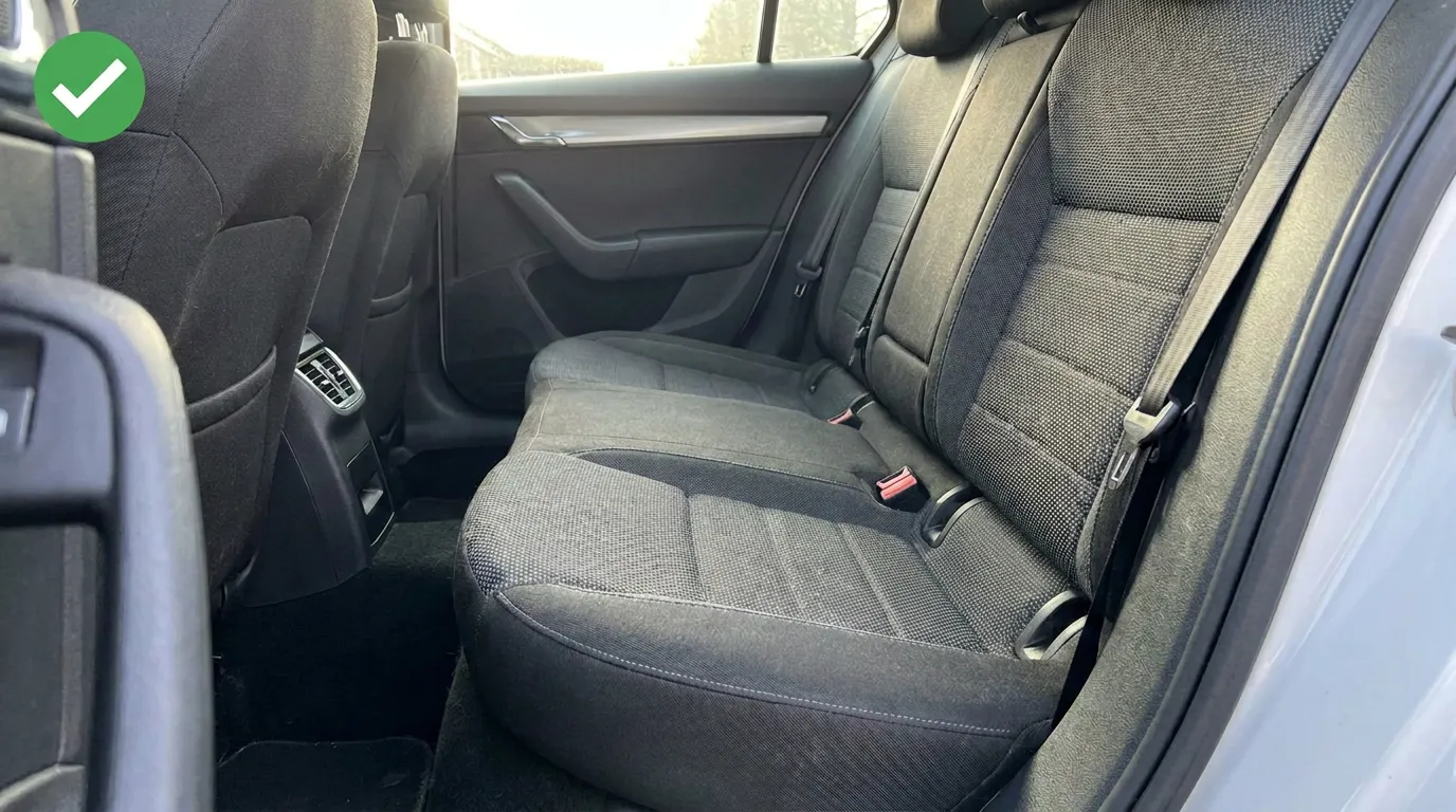 Car seat after using the Puravetta mitt, no pet hair