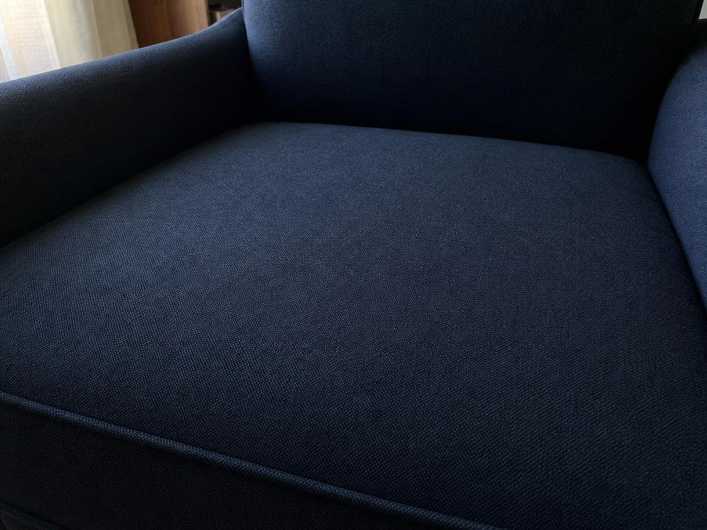 Armchair after using the Puravetta mitt — no pet hair